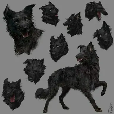 Profile image of Sirius Black
