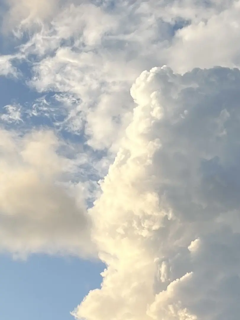 UniqueMall8150의 先輩ヒーロー