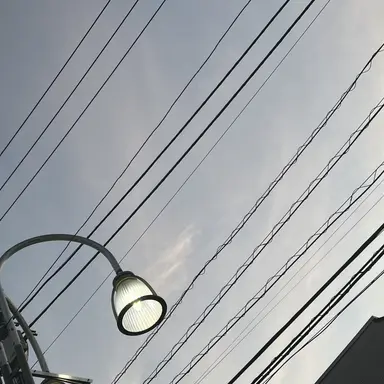 Profile image of 고인물세력