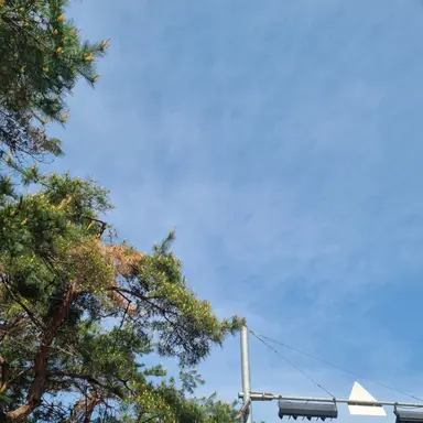 Profile image of 각별