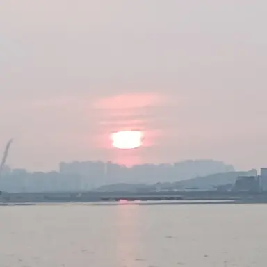 Profile image of 여우