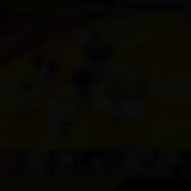 Profile image of 여우년