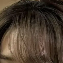 Profile image of 橋本涼