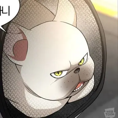 Profile image of 진대감