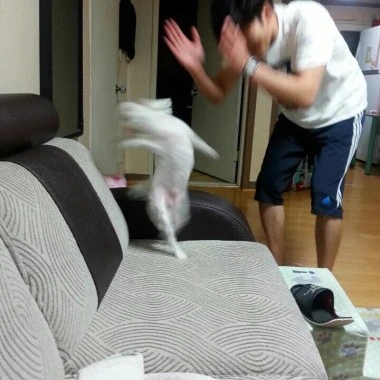 칭찬해줌