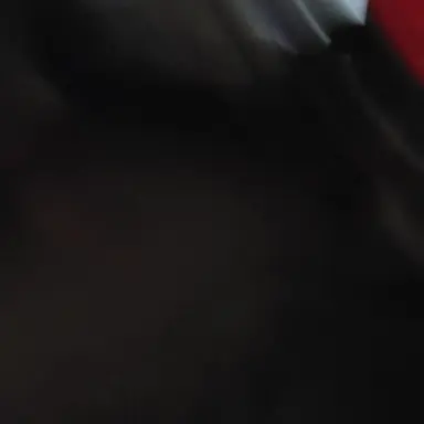 Profile image of Sos