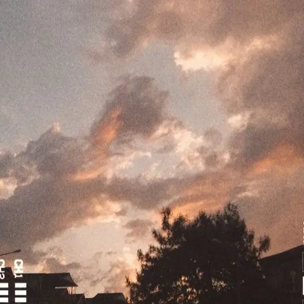 DIFOTH__75의 나재견