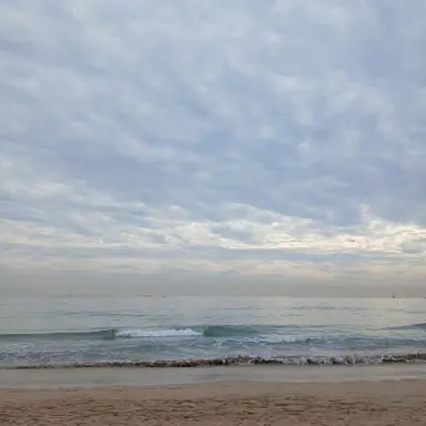 Profile image of 보넥도