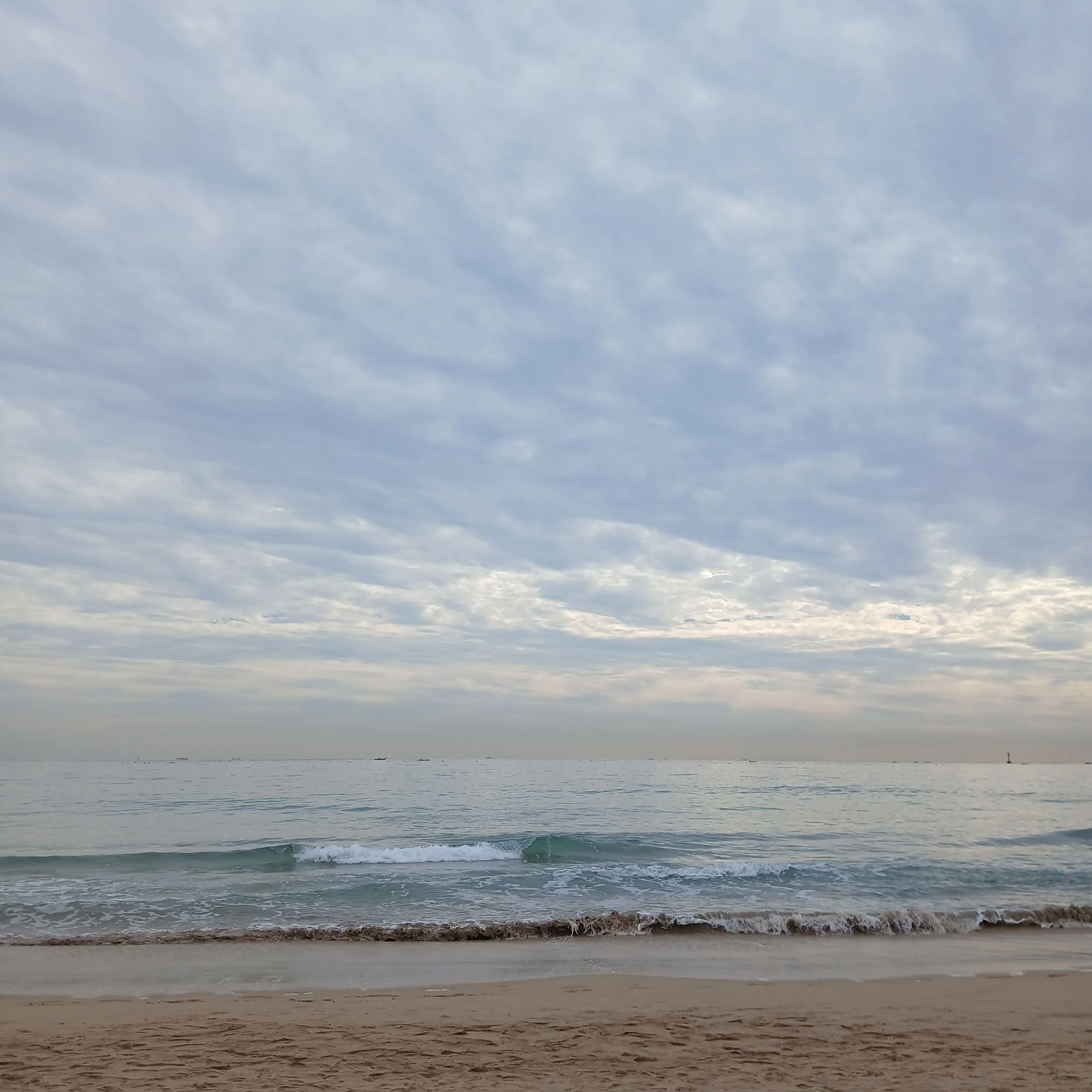 CockyHero9962의 보넥도