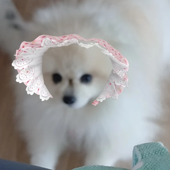 차코코