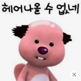 탈모 루피