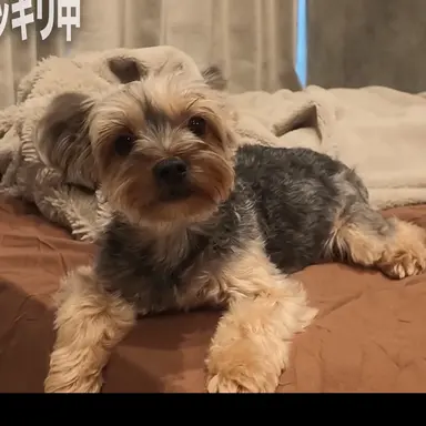 Profile image of 石田さん