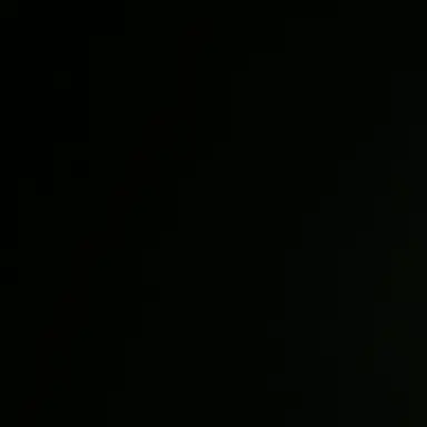 Profile image of 성호