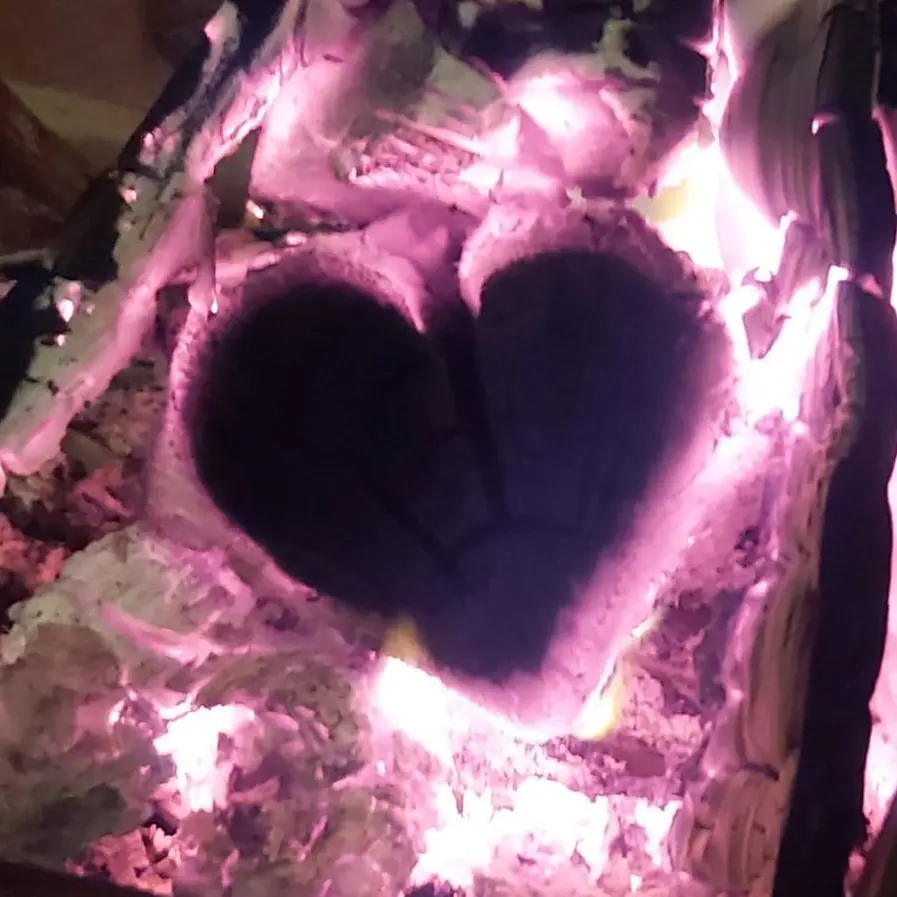 cxke.re3의 郑宝贤