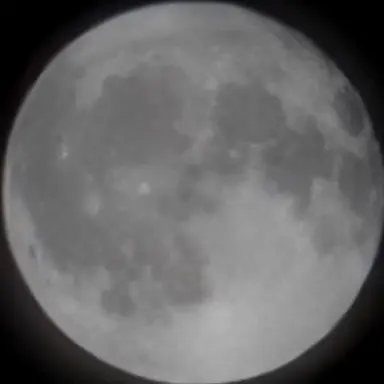 Profile image of 한지우