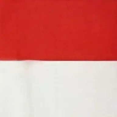 Profile image of 인도네시아