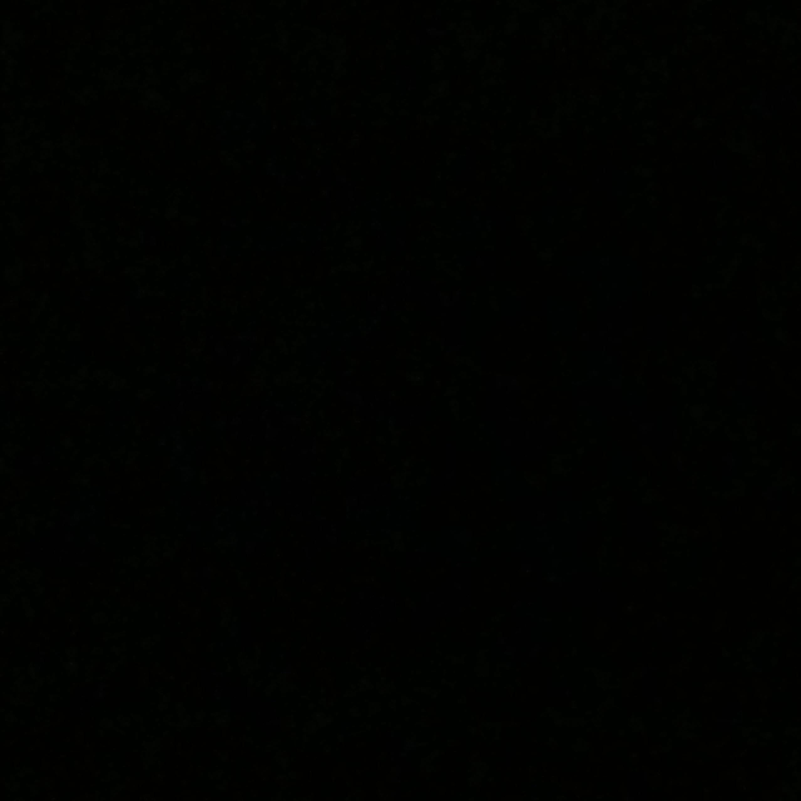 최우제