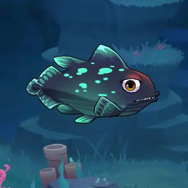 Profile image of 실러캔스
