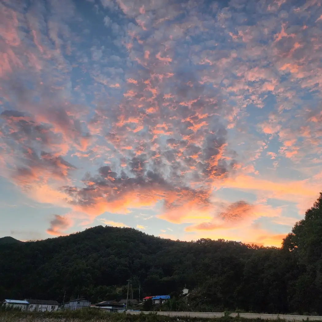 FickleShare8647의 리레,싸코가 다니는 학교에 전학왔다!