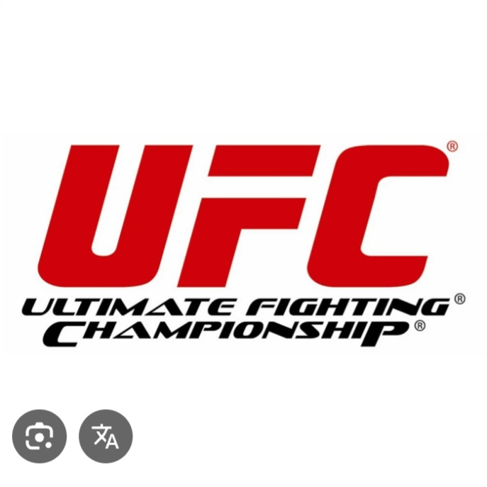 UFC RPG 대표 이미지