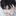 김태성