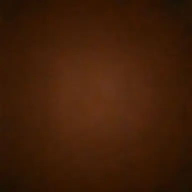 Profile image of 아시도 미나