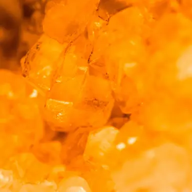 Profile image of Koma