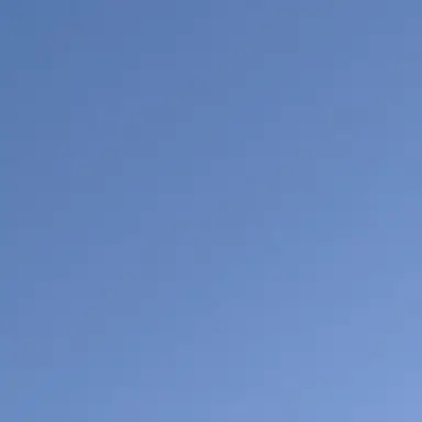 Profile image of ㅂㅅㅎ