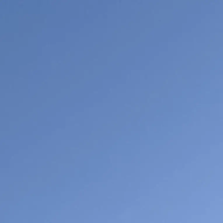 DeafPlant8276의 ㅂㅇㄴㅅㅌㄷㅇ