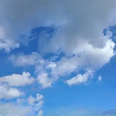 Profile image of 이야기 만들기