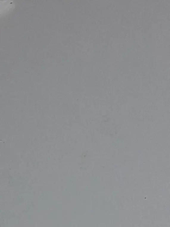 FlushPaper6947의 박지훈의 강아지 맥스 되보기