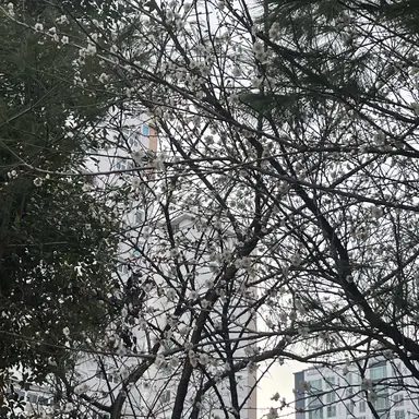 Profile image of ㅂㅅㅎ