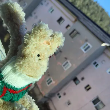 Profile image of 루이쨘