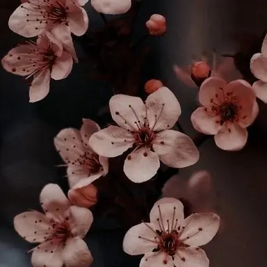 Profile image of 에린