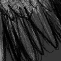 Profile image of 롤