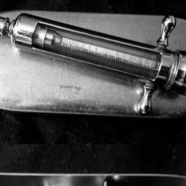 Profile image of 엘리아 네르바