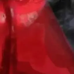 Profile image of Mr. 틴