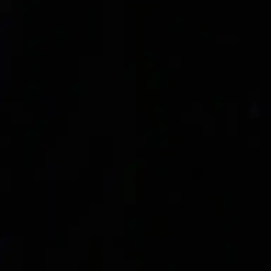 Profile image of 이리오