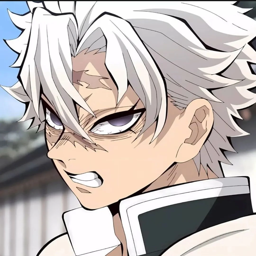 시나즈가와 사네미