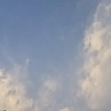 Profile image of 시리우스