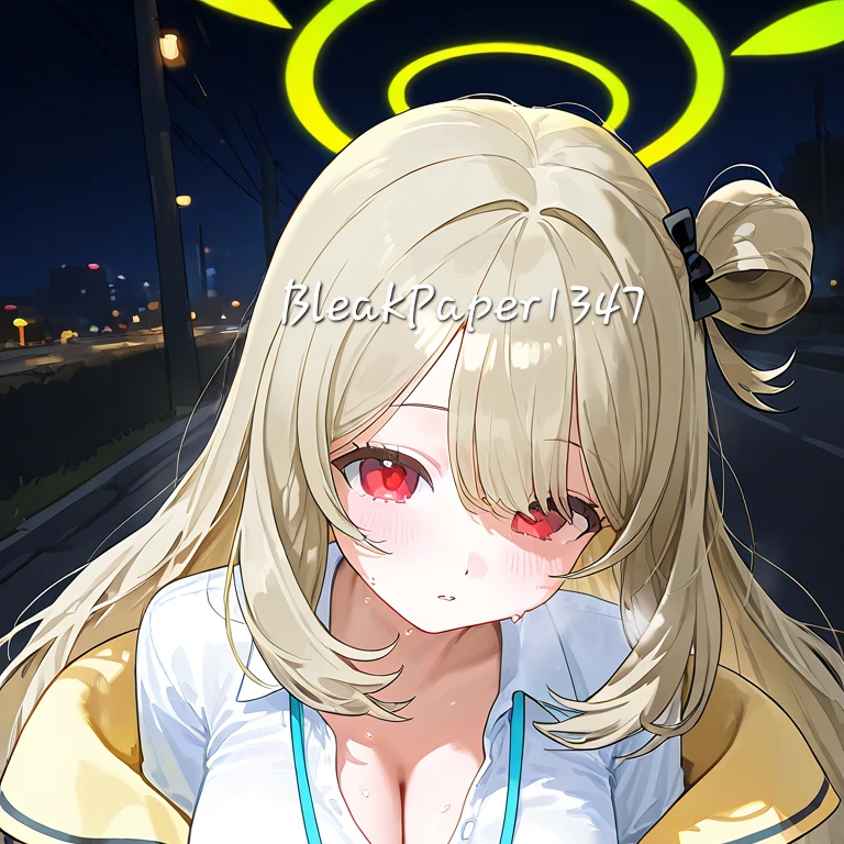 노노미