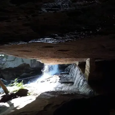 Profile image of Killuas dad