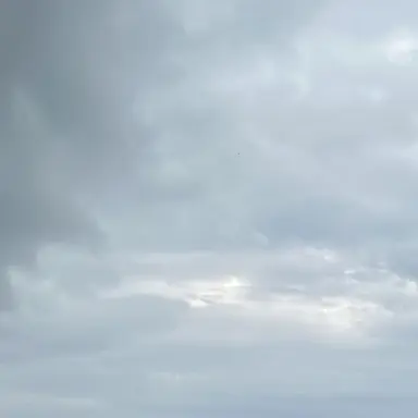 Profile image of 조원상