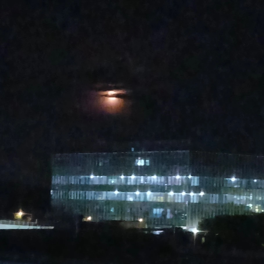 뜰팁학교2