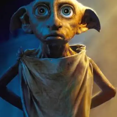 Profile image of Dobby