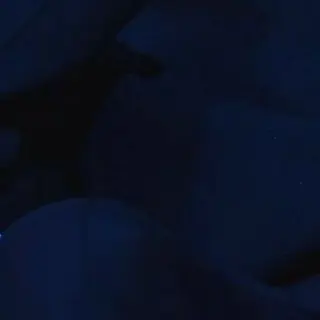 Profile image of 권지용