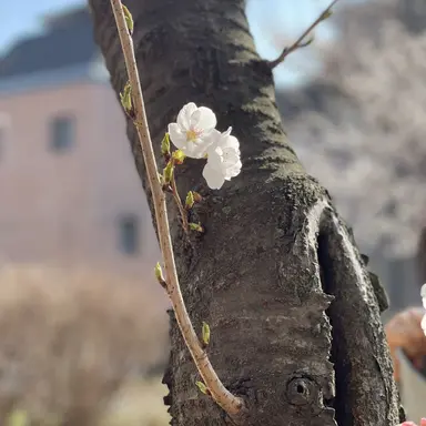 Profile image of 도혜정