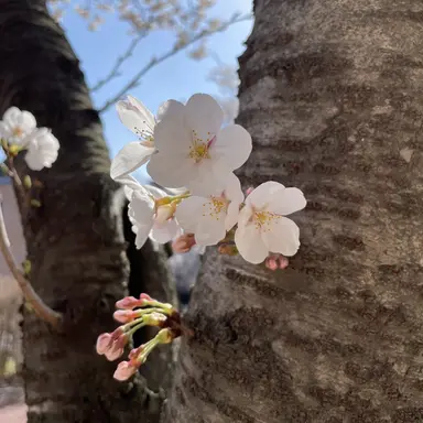 Profile image of 최현