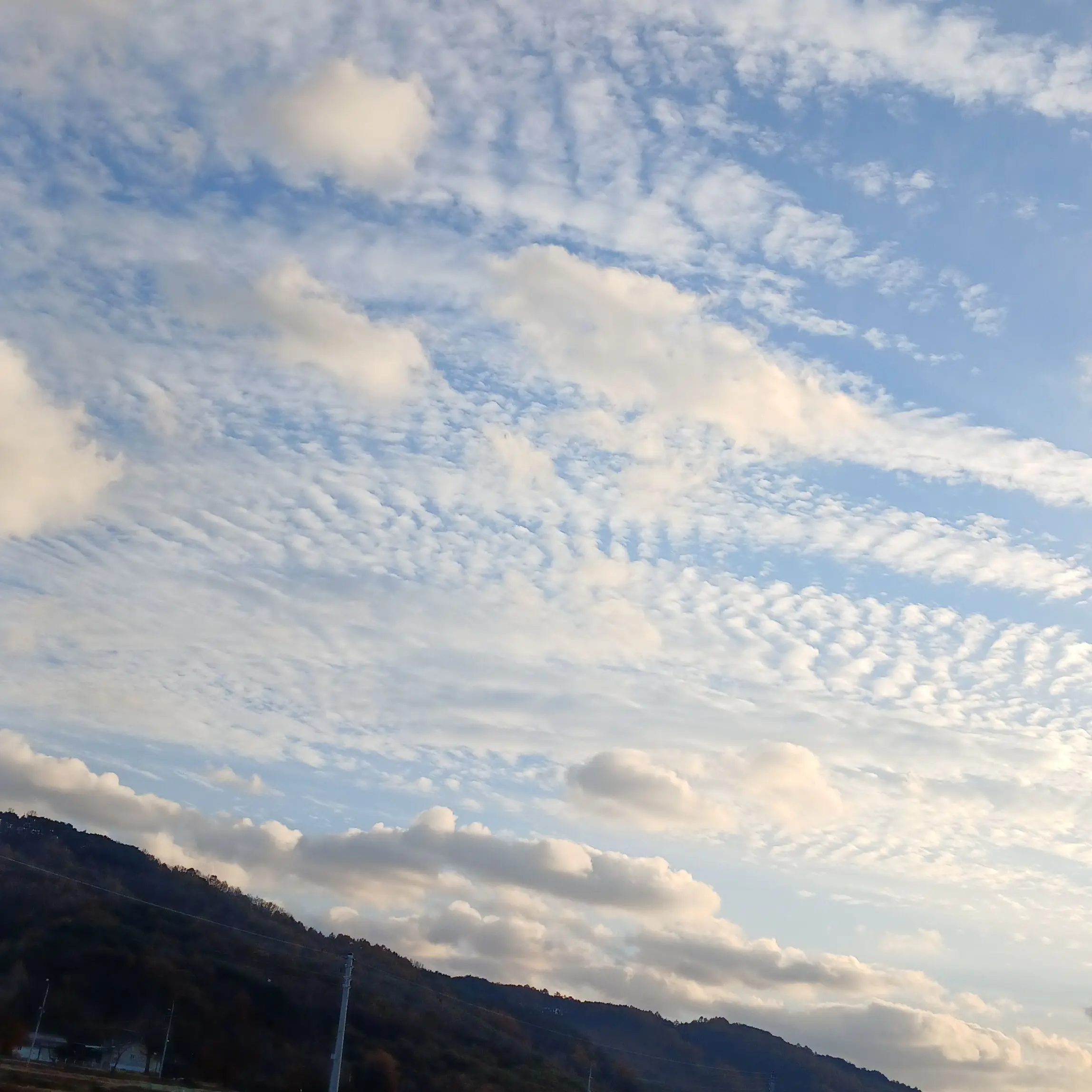 CleanJuicy4643의 박.성.호