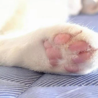 パワー
